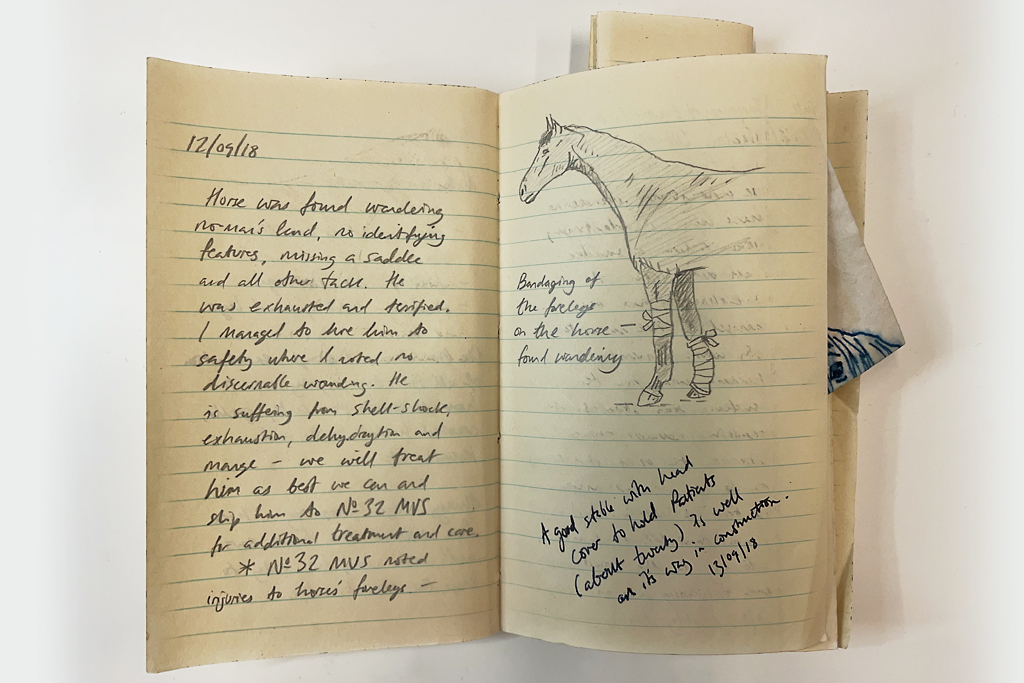 Siegfried's WW1 horse diary | ACGAS